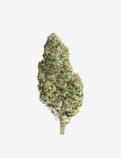 AMNESIA HAZE